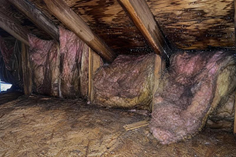 Ice Dam Water Damage on the Wasatch Front