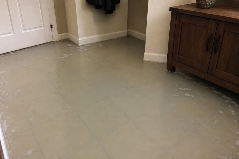 Clouded water covers the tile of a Bluffdale entry hall, lapping the baseboard on every wall and swallowing the feet of a wooden console