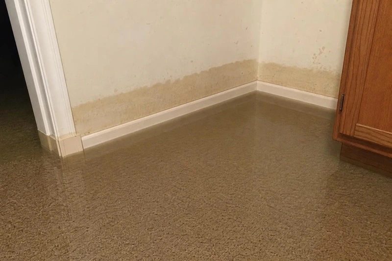 A brown tide band marks the drywall a hand's width above the baseboard in a Millcreek corner, with water sitting over the carpet beneath it