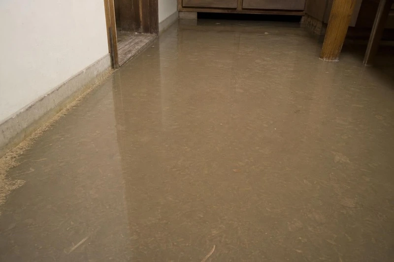 Silty meltwater lies still and brown over a West Jordan basement floor, a line of grit settled where it meets the wall