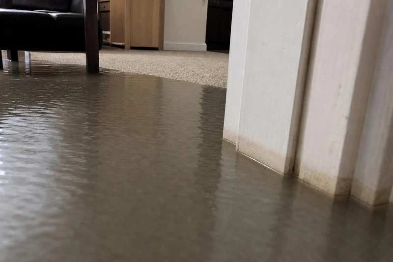 Past the carpet the wet edge pushes onto hard floor in a finished West Valley City lower level